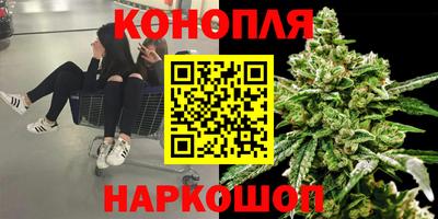 ALPHA PVP Нальчик