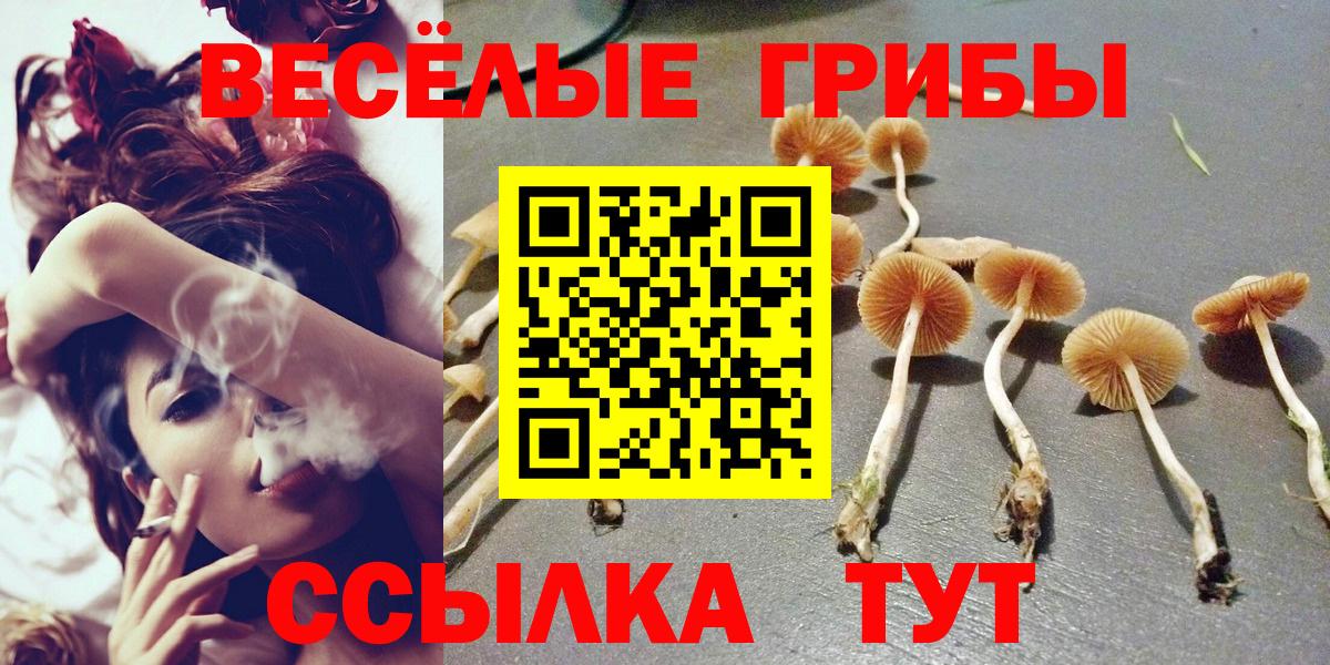 Галлюциногенные грибы ЛСД  Вход с VPN  наркошоп  Белгород 